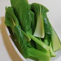 Bok Choy